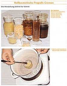 Die Bienen-Hausapotheke - Mit ausgewählten Rezepten zum Selbermachen