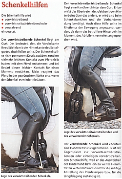 Gebogene Linien und Seitengänge