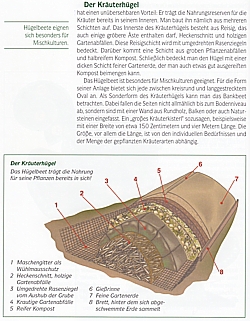 Gewürze aus eigenem Garten: Anbau - Ernte - Verwendung