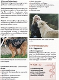 Das groe Buch der Hundekrankheiten: Symptome - Diganose - Therapie