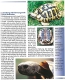 Griechische Landschildkröten - Ihr Hobby