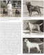 Labrador Retriever: Ursprung - Aufzucht - Erziehung - Pflege