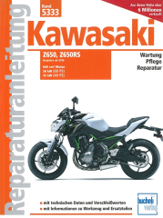 Kawasaki Z650 & Z650 RS